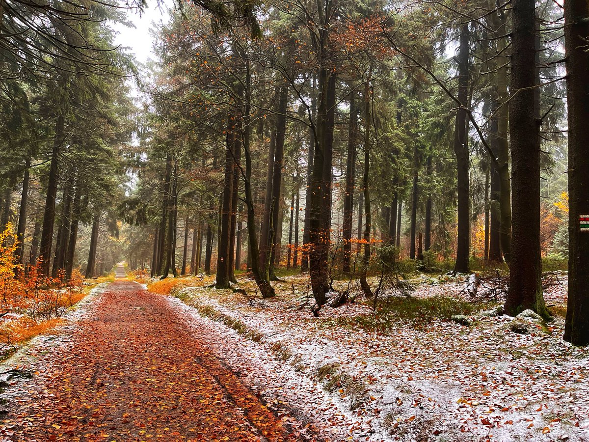 Už to začíná být hezký.