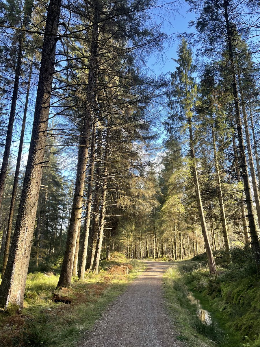 i_love_patterns's tweet image. today I walked 12.03 km while munching on malt loaves