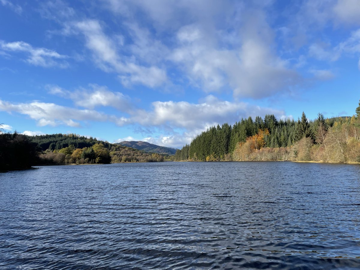 i_love_patterns's tweet image. today I walked 12.03 km while munching on malt loaves