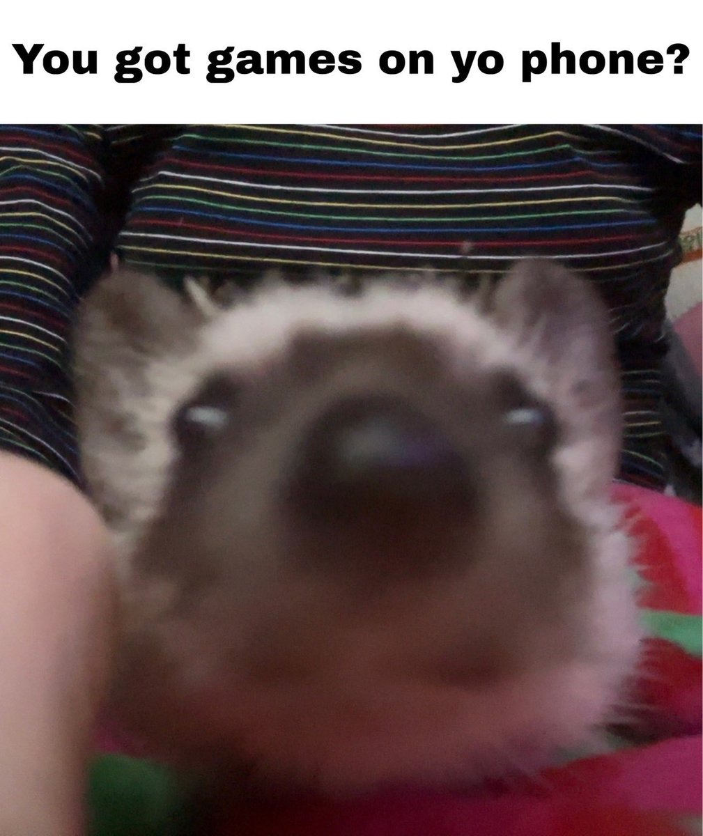 Cute hedgehog <a href="/xmeowkiki/">Kiki</a>