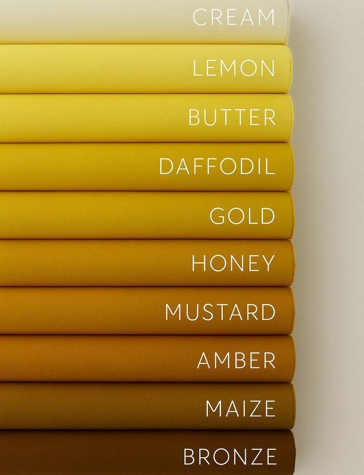 aestheticwabi's tweet photo. what's your favorite shades of yellow? https://t.co/Ple3hfHC32