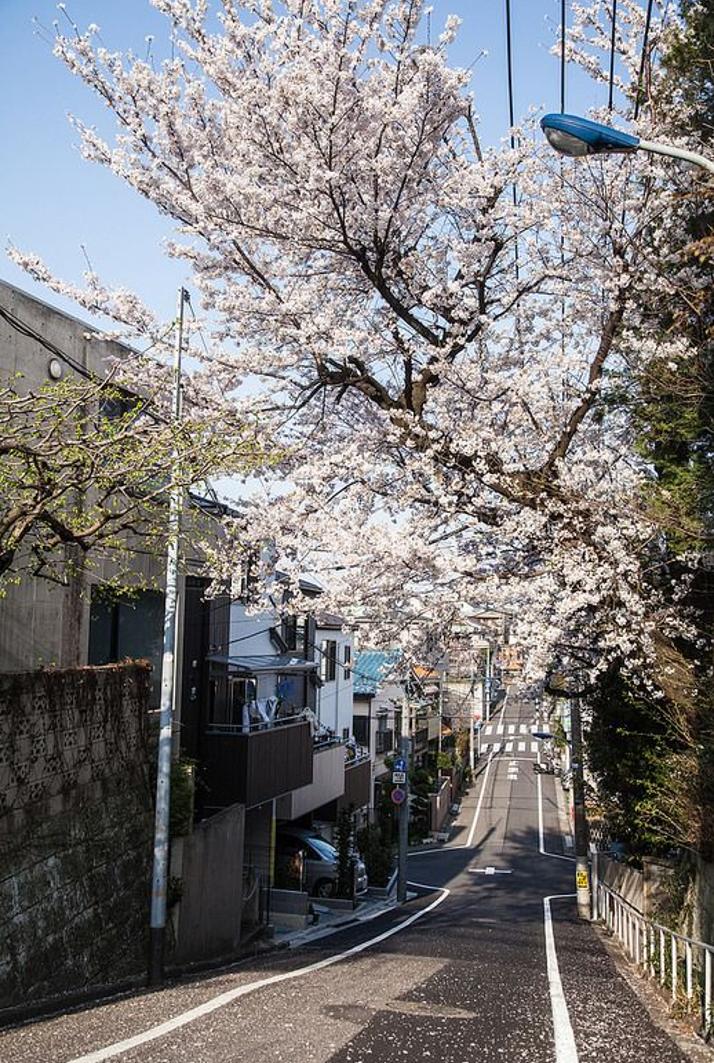 Phinallyphocus1's tweet image. 土曜日の深夜、雨。楽しい気分で休憩する。 📝