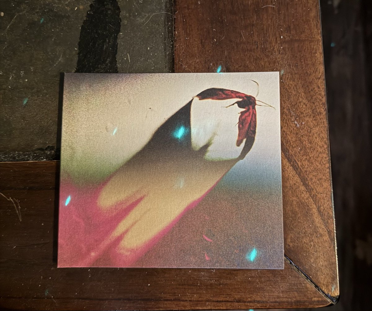 If it wasn’t for my favorite artist reposting <a href="/Scowl40831/">SCOWL</a> I would’ve never known they’d existed and I had to get the album literally no skips for me