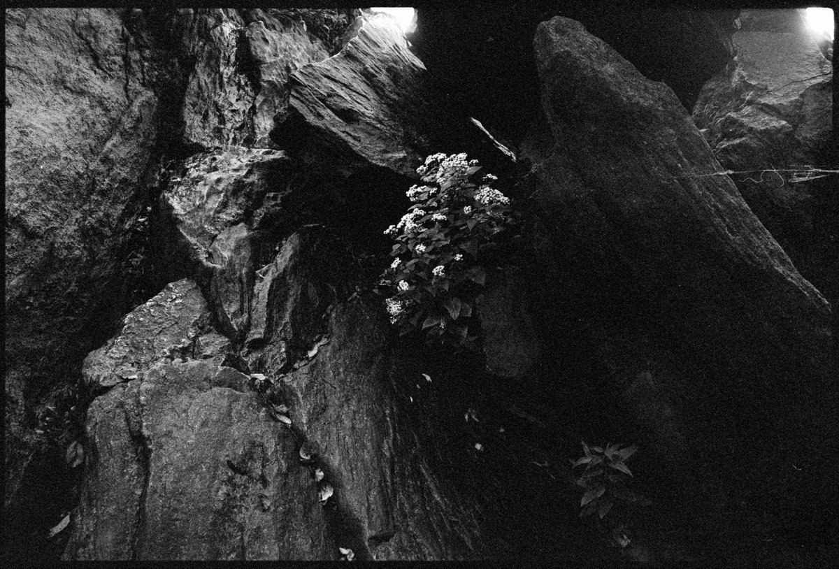 I Dont Shoot Weddings tweet media