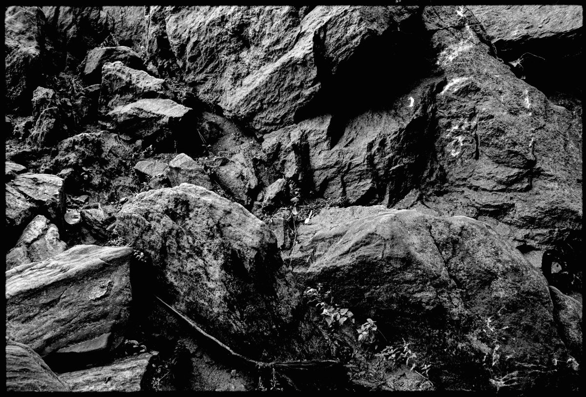 I Dont Shoot Weddings tweet media