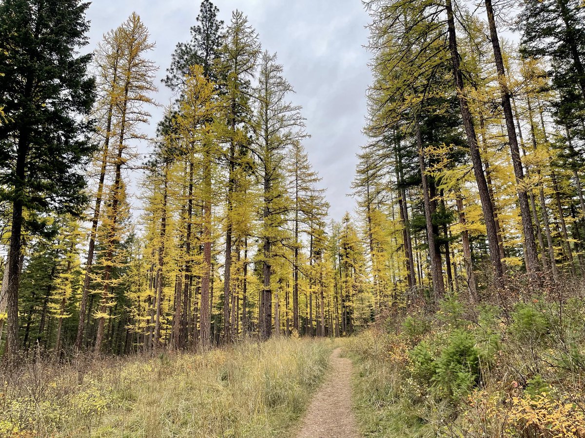 The best time of year.