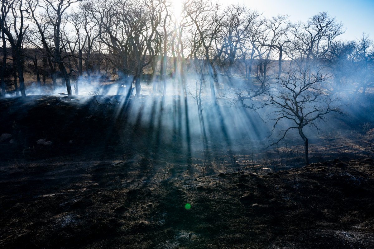 The latest U.S. Drought Monitor indicates that much of Texas is experiencing drought. Dry conditions increase wildfire risk across many parts of the state.

Experts in AgriLife Extension shared prevention and mitigation tips to help Texans safeguard their property, operations and