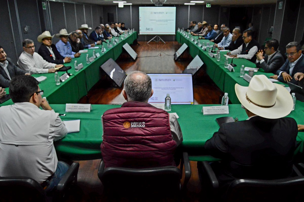 Julio Berdegué tweet media