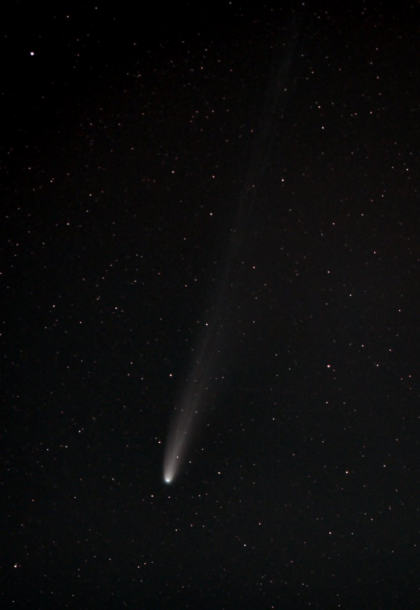 Charlie Lyons tweet media