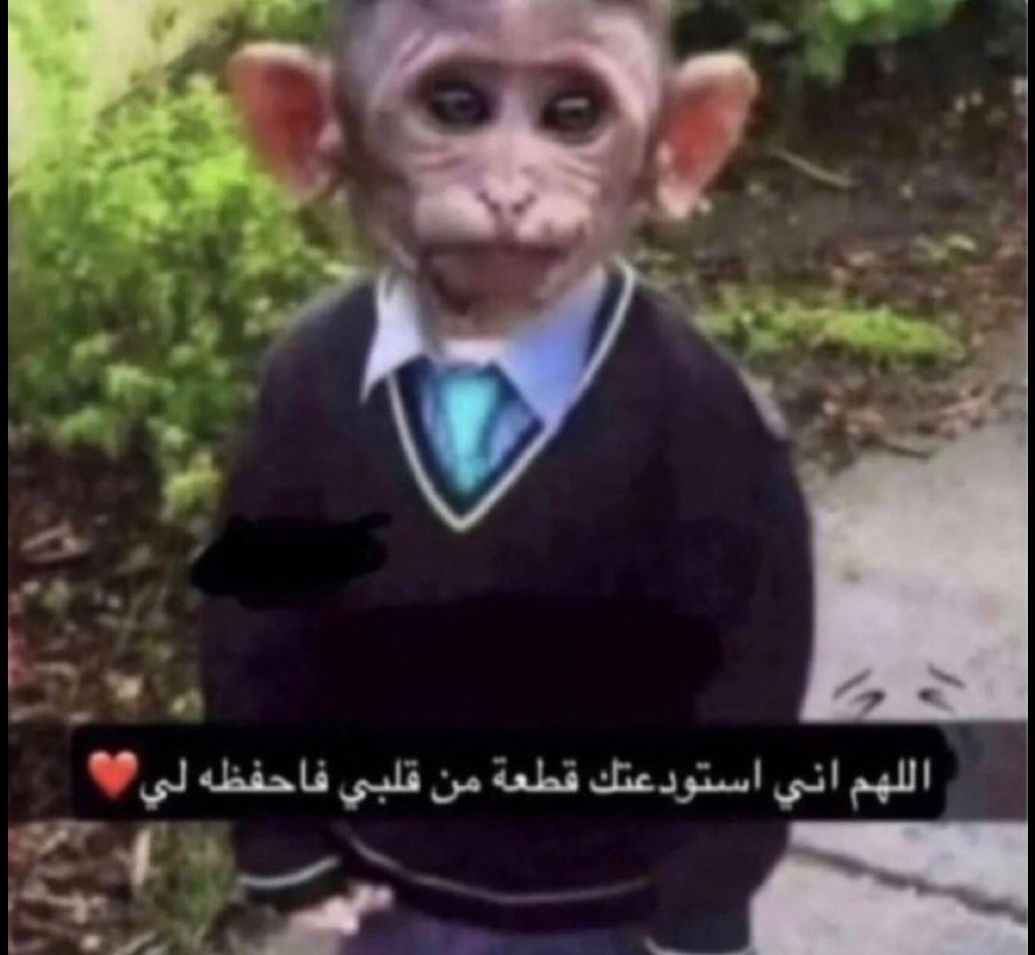 l_4l_'s tweet image. his first day of work tmr