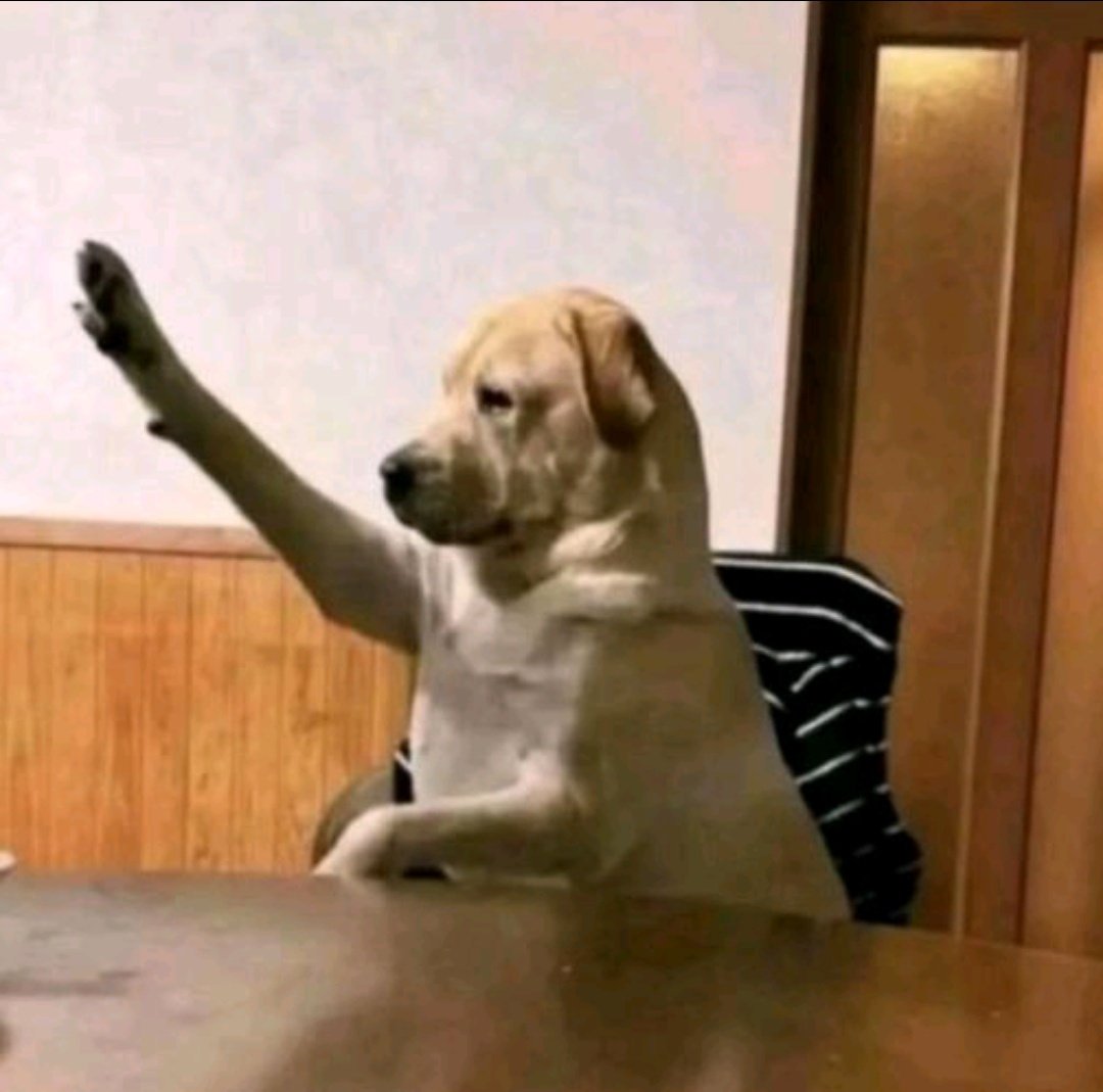 Я когда прочитала сцены со своим фаворитом в снровской части сн3 а потом зашла в Твиттер и увидела что у всех других фаворитов были те же сцены с чуть измененными словами.....
I have questions