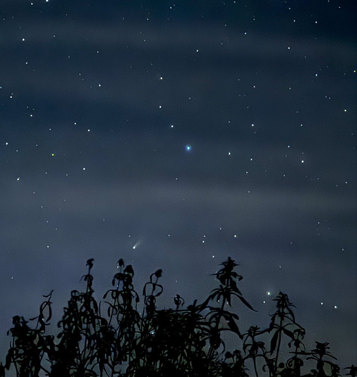 <a href="/Trizbangtheory/">Beatriz Varona ⭐</a> Yo lo pillé ayer tambien con el
Móvil.