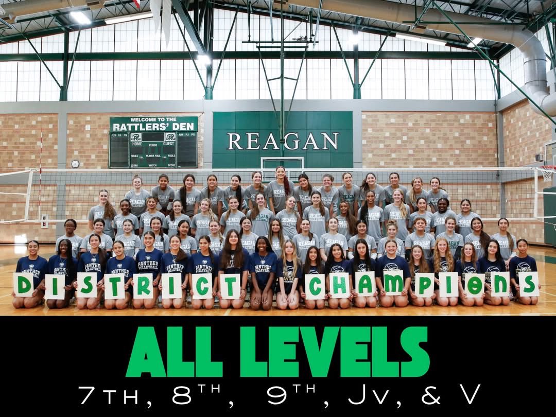 Sandi Veliz tweet media