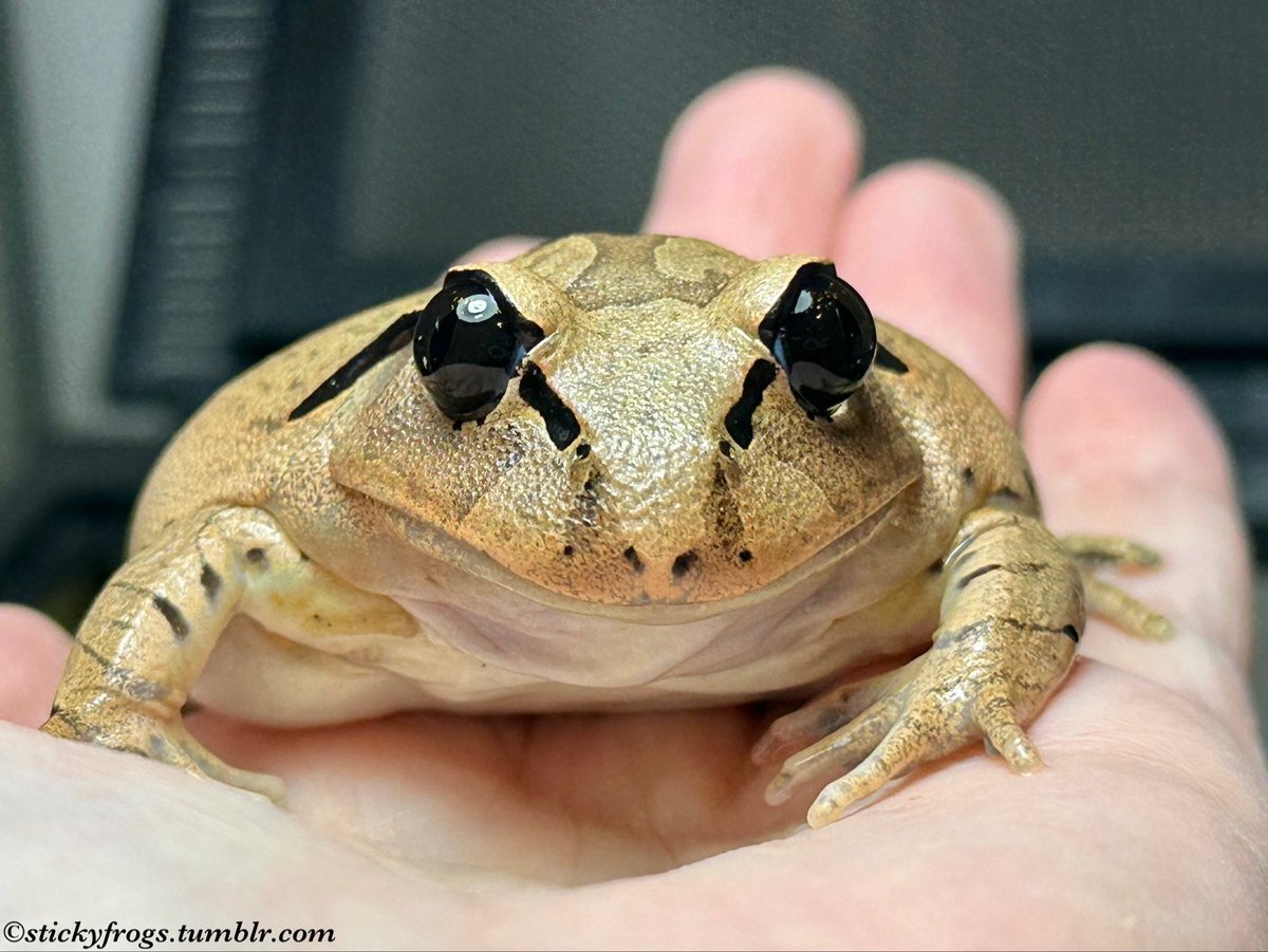Beverley is feeling 179% Very Beverley today and she would like to share a Lovely Smile!