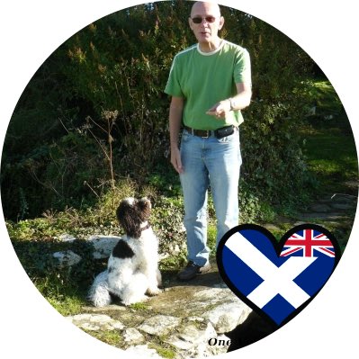 Davie 🏴🇱🇻 (@dw80000) on Twitter photo <a href="/hoski67/">Robert Hoskins</a> The world renowned macro economist and his daft dug readers. <a href="/hoski67/">Robert Hoskins</a> The world renowned macro economist and his daft dug readers.