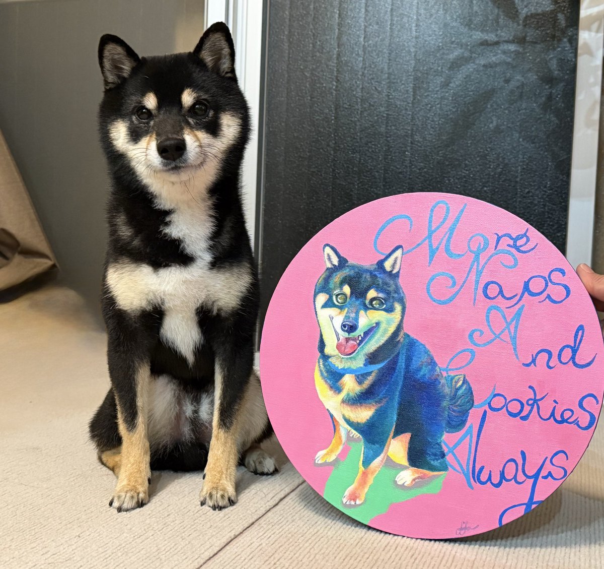 黒豆柴♂もなか (@monabolta) / Posts / X