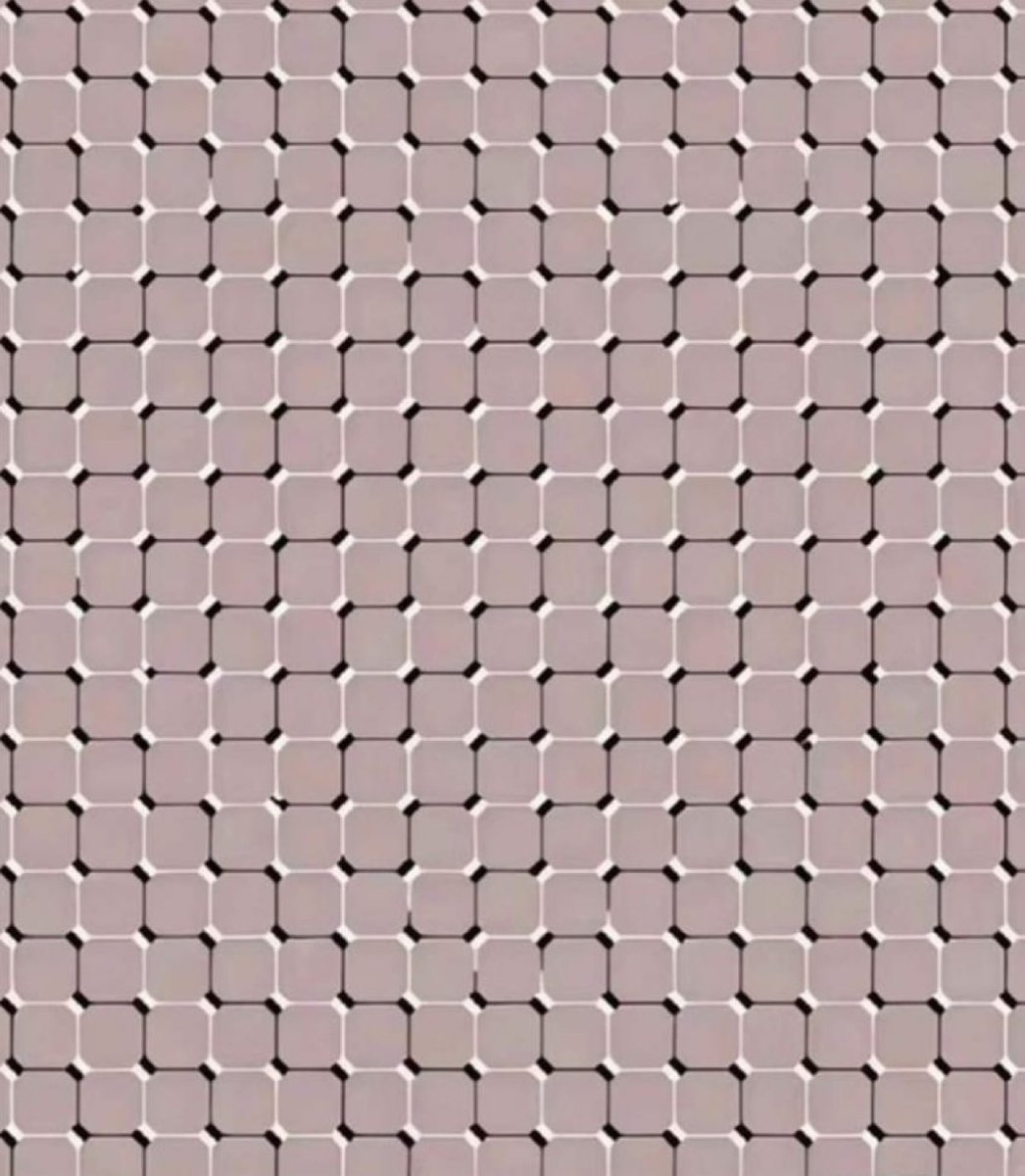 JonhernandezIA's tweet image. This is gona be the best Ai detector..
It's an image not a video, try it on whatever Ai you want, they won't see the floating heart.
It's the human brain.