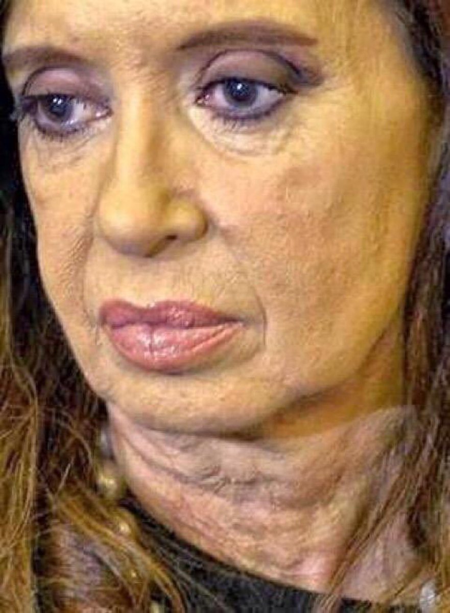 Y a todos los que me están denunciando y pidiendo que me bajen la cuenta, les digo que sobreviví 15 años a este cuello de matambre mal medicado. Ella está presa, y yo libre. Ahora sigan con lo suyo, genios del voto.👇👊✌🏿😉