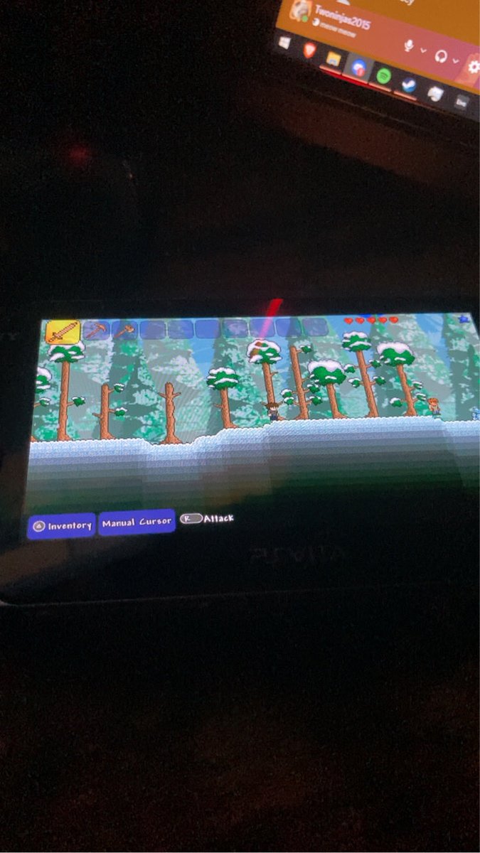 Terraria on the viter (I bought a Vita btw)