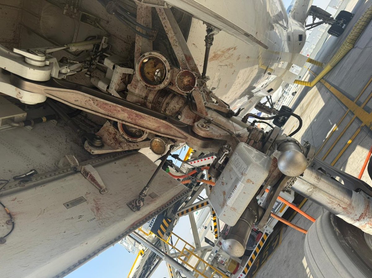 Turbine Traveller tweet media