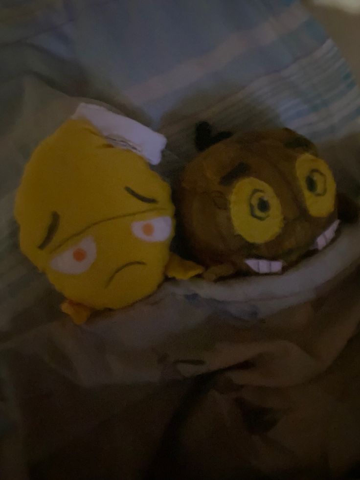 Ollie Rolly Polly tweet media