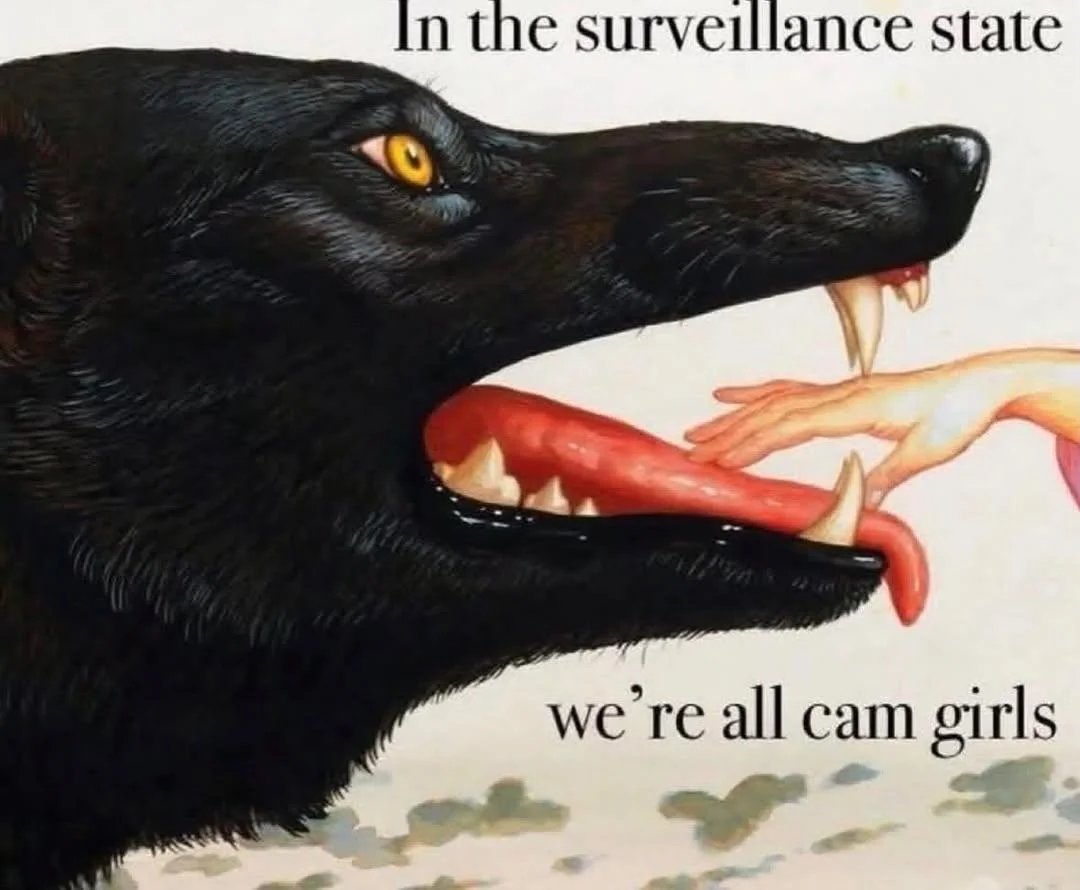 KrystalWolfyAlt's tweet image. 