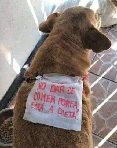 #firstdates25o  es genial 😂😂😂😂😂😂😂😂😂