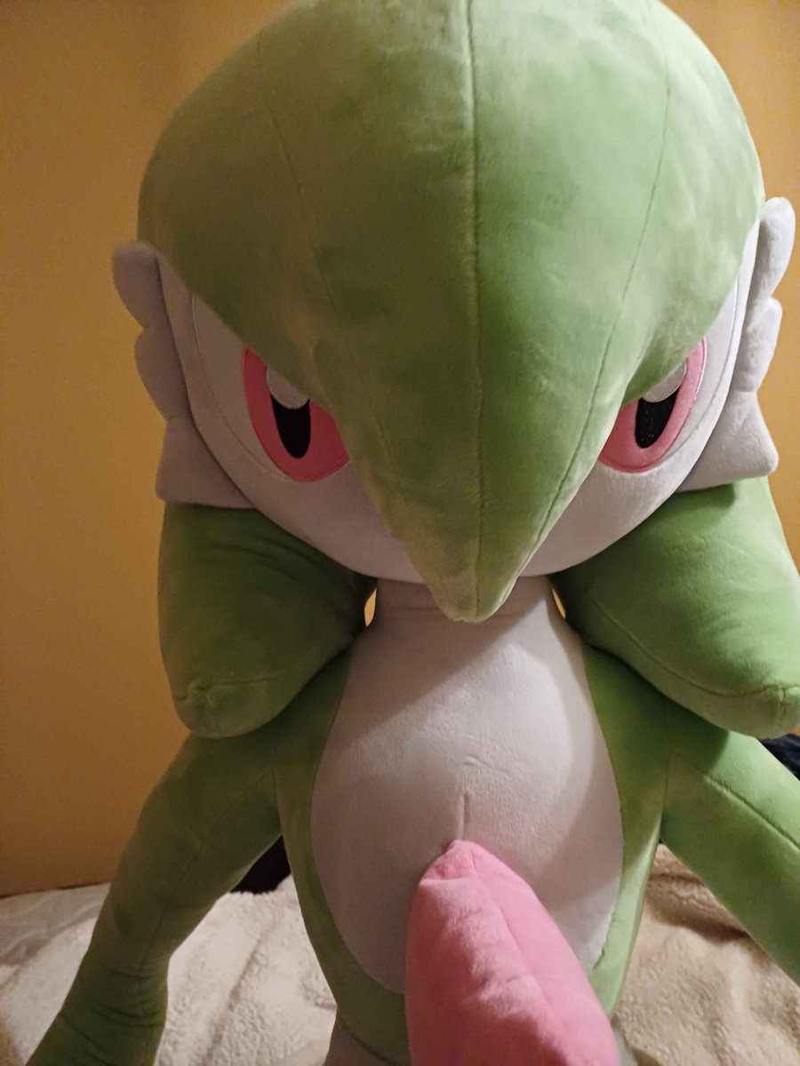 InTheFritz's tweet photo. @Lickaghost I got mine yesterday and yes, it is absolutely worth it https://t.co/RMHwwuVc7U