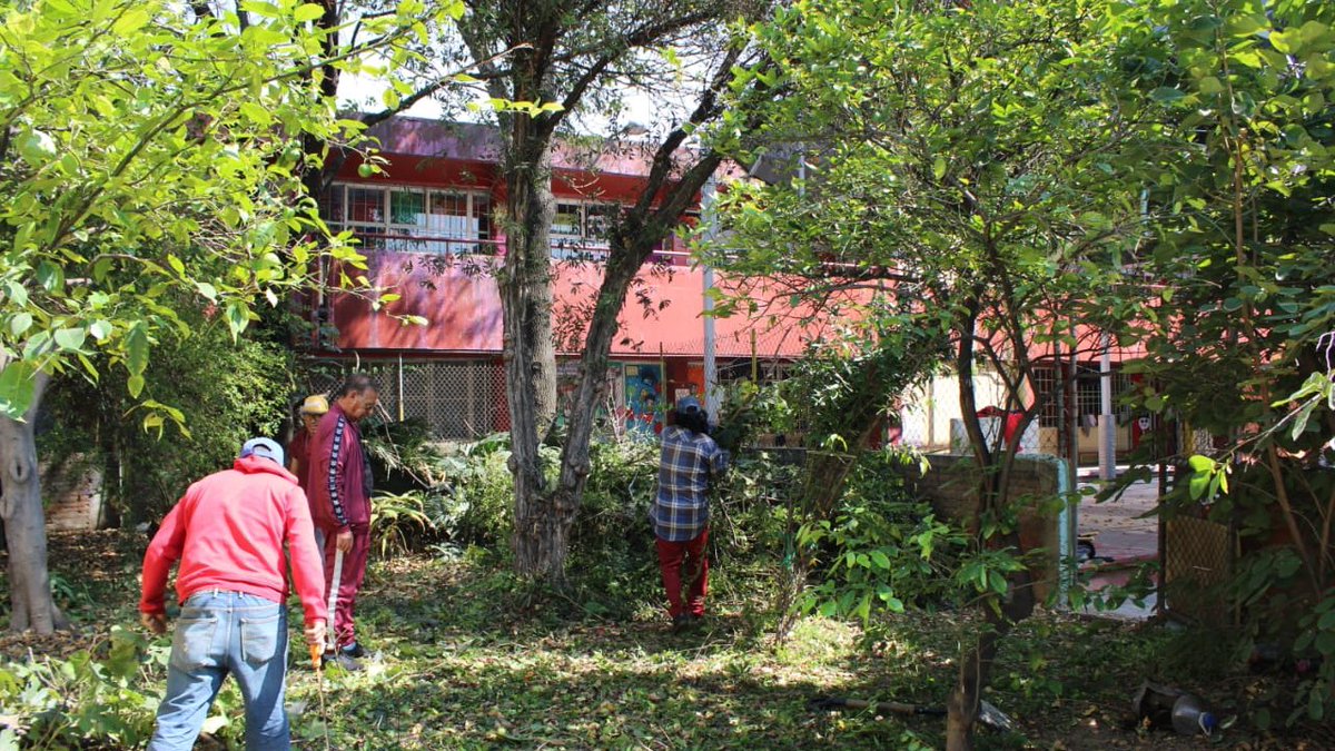 AnaBuendiagam's tweet photo. Se realizó limpieza de cisterna y  de maleza en el 
 #Tequio que mi equipo realizó esta mañana en la escuela primaria Belice, de la colonia Nueva Atzacoalco, #GustavoAMadero. #CompromisoConLaGente @AnaBuendiagam @Congreso_CdMex @GPMorenaCdMex https://t.co/mK2rbuC4Jz