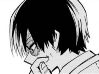 the blush                           the reason