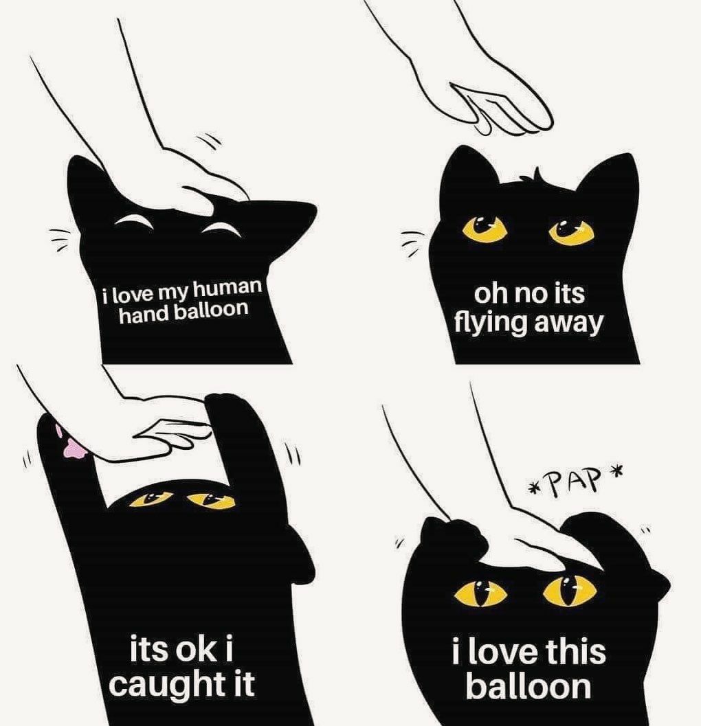 Why you should have a cat (@shouldhavecat) on Twitter photo 