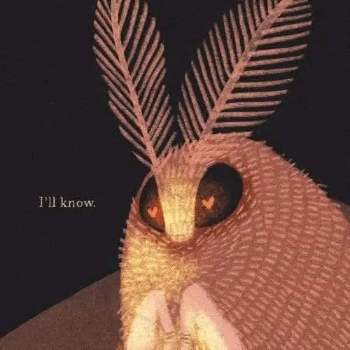 It's no secret that $Moth man loves Lamp 😍🥹
<a href="/mothvslamp/">möth💡</a> season is upon us 🔥