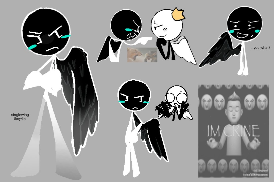 pastanimatic's tweet photo. If you laugh you lose a wing
#ocart #flightrace https://t.co/YPFW6h56qp