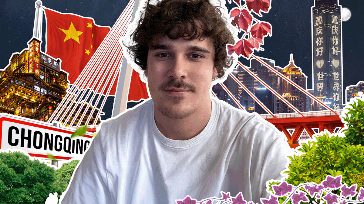 Cam2le - Graphiste🖌️🌴 tweet media