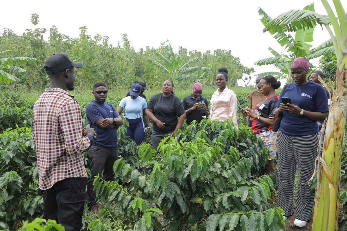 PollaMixedFarm's tweet image. A huge thank you to @UCC_Official and the amazing #GoldenPosts team for visiting Polla Mixed Farm! 
We appreciate you capturing our journey and helping us share our story of deliberate innovation in agriculture.