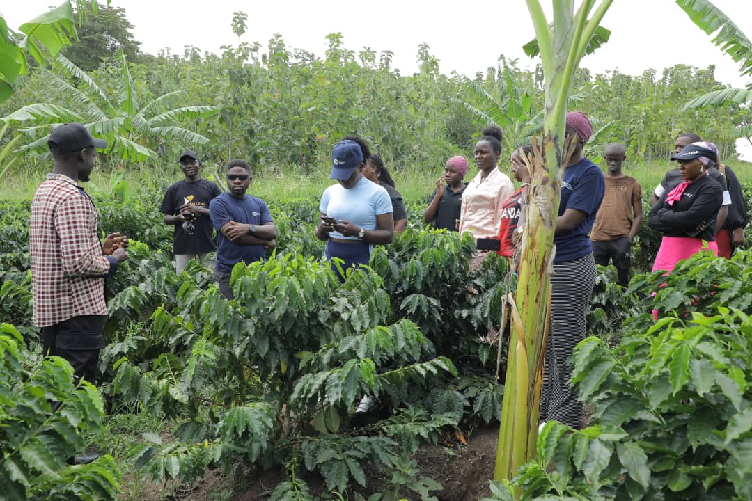PollaMixedFarm's tweet image. A huge thank you to @UCC_Official and the amazing #GoldenPosts team for visiting Polla Mixed Farm! 
We appreciate you capturing our journey and helping us share our story of deliberate innovation in agriculture.