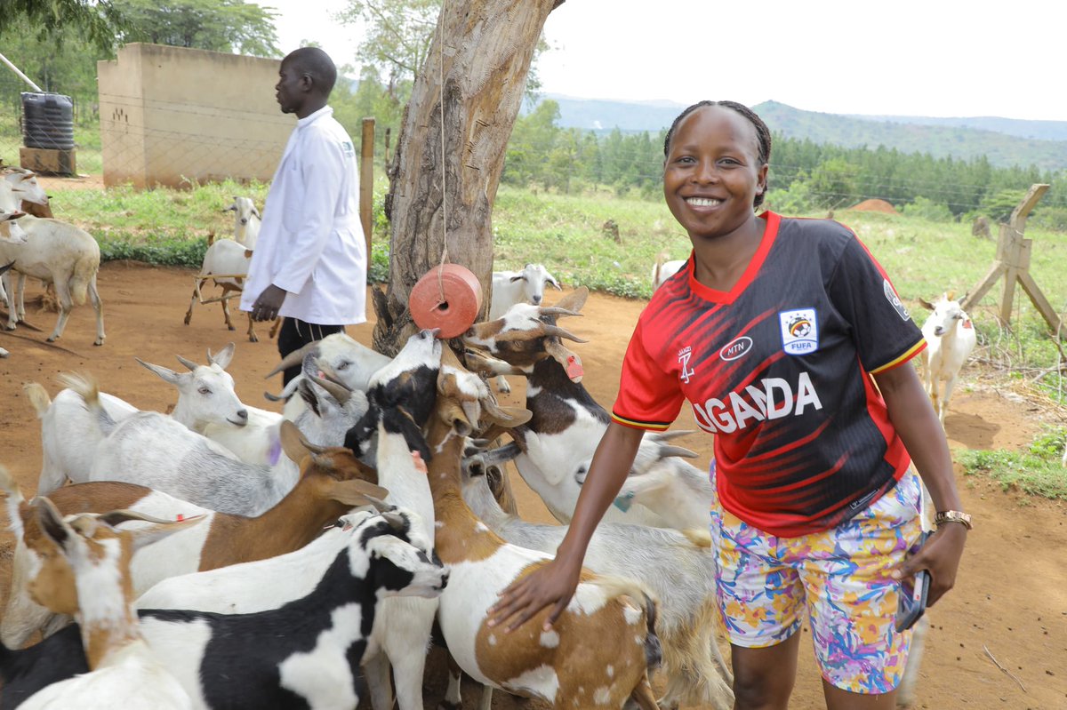 PollaMixedFarm's tweet image. A huge thank you to @UCC_Official and the amazing #GoldenPosts team for visiting Polla Mixed Farm! 
We appreciate you capturing our journey and helping us share our story of deliberate innovation in agriculture.