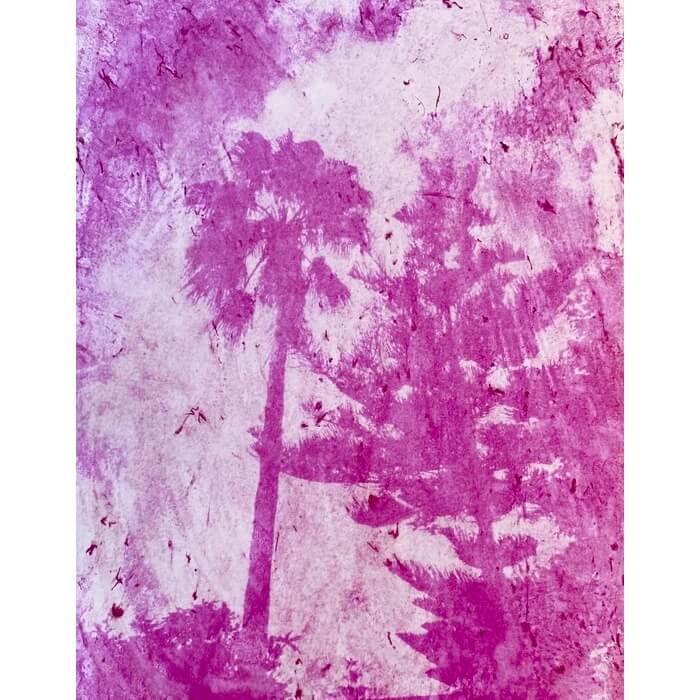 alternativephot's tweet image. 🌿Happy World Anthotype Day - IT'S TODAY! Enjoy prints from flowers and plants!

➥Dragon fruit by Sarah Garrod
➥Grape, Riverbank  by Ingrid Forster
➥Orange by Ben Conway
➥Watercress by Ana Cláudia de Souza Mota

👉 alternativephotography.com/world-anthotyp…

#anthotypes #worldanthotypeday