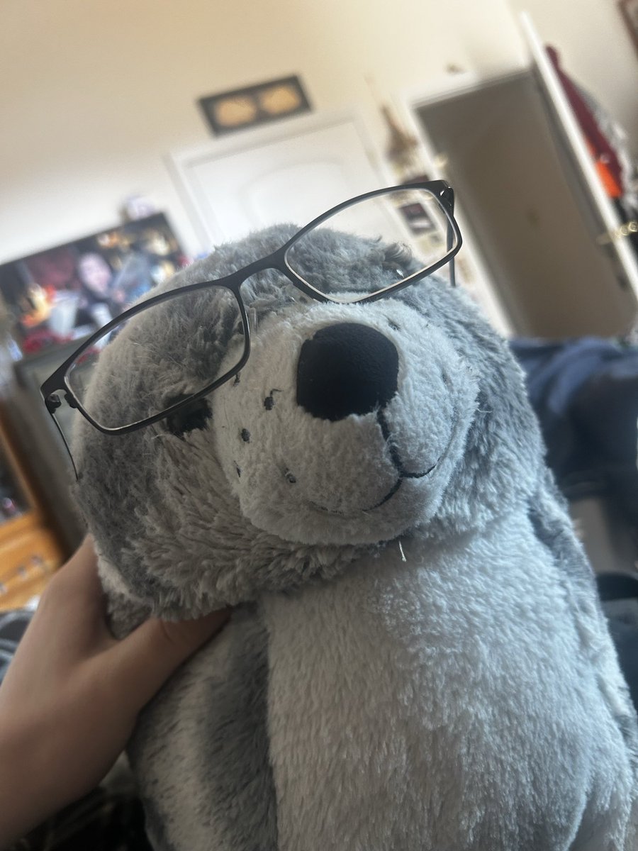 new torchbearer letter? i literally don’t care look how my glasses fit on my seal plush