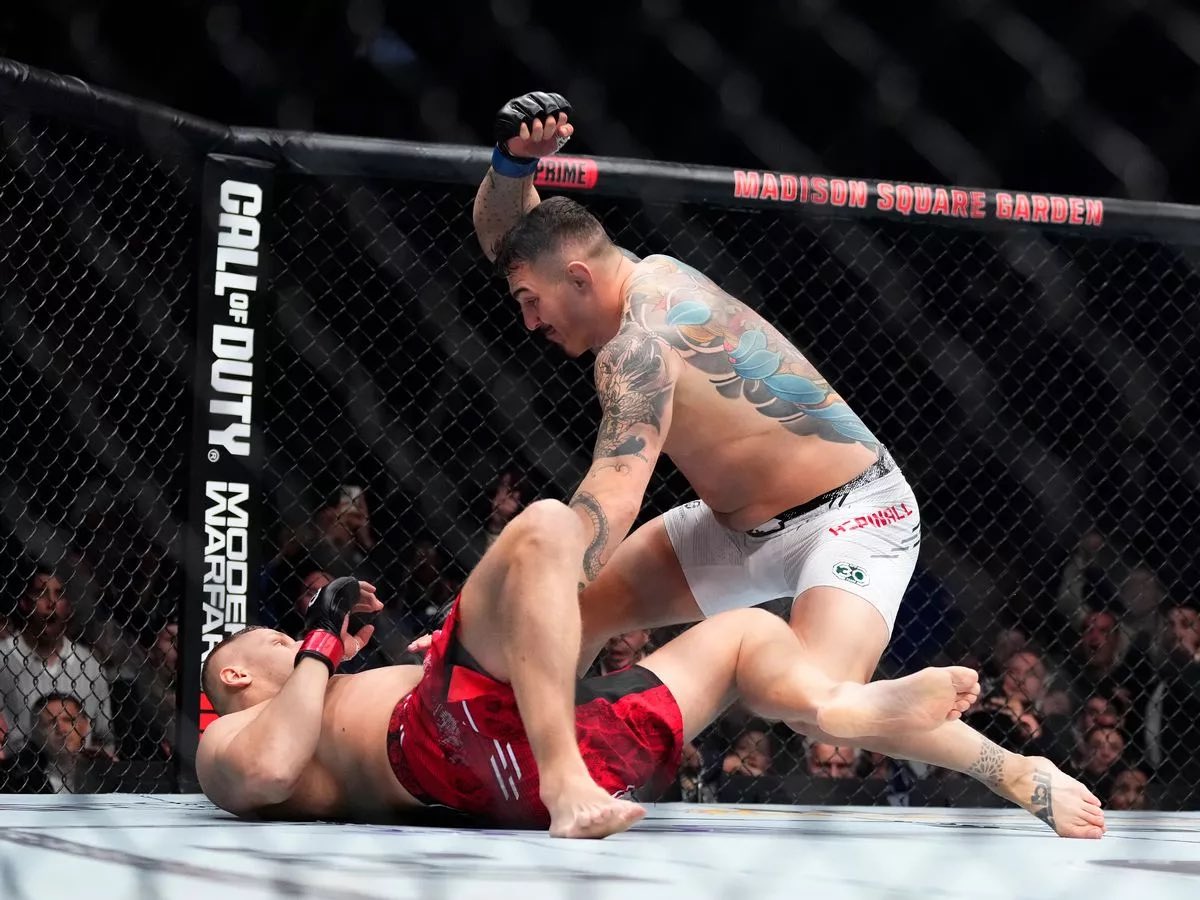 الكل متحمس ل الفايت وينتظره من اشهر
توم وهو جاي يخلصه ب ثلاث دقايق
#UFC321
#رابطة_عشاق_اسبينال