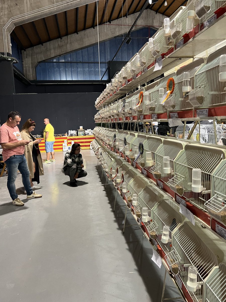 Inauguració de l’exposició 45è campionat ornitològic de Catalunya i 40è concurs social organitzat per club ornitològic de Tarragona.

🐤 Refugi 1 sala del 3 del #MolldeCosta del <a href="/PortTarragona/">Port Tarragona</a> 

🐧 Romandrà oberta fins al 26 d’octubre.