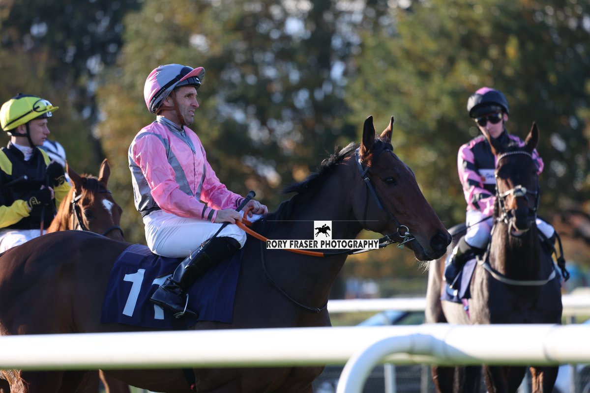 Rory Fraser Photography🤘 (@92roryf) on Twitter photo Winner of race five at Doncaster this afternoon, the class three handicap (1m), DESPERATE DAN (Dandy Man x Angel Grace)
Trained by <a href="/ChappleHyam/">Peter Chapple-Hyam</a>, owned by Mark Venus & Peter Chapple-Hyam and ridden by <a href="/neilcallan78/">Neil Callan</a>.
Winning for the second time in his last three starts. Winner of race five at Doncaster this afternoon, the class three handicap (1m), DESPERATE DAN (Dandy Man x Angel Grace)
Trained by <a href="/ChappleHyam/">Peter Chapple-Hyam</a>, owned by Mark Venus & Peter Chapple-Hyam and ridden by <a href="/neilcallan78/">Neil Callan</a>.
Winning for the second time in his last three starts.