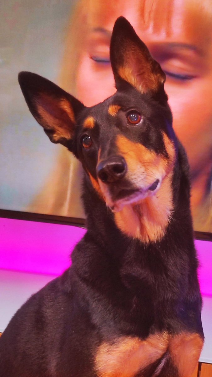 lluna🌕 tweet media