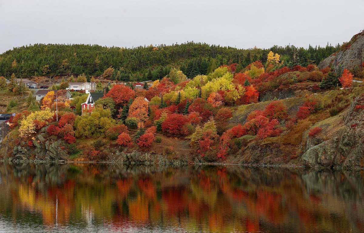 diggerjones27's tweet photo. Beautiful Trinity on this soggy day. #nlwx #trinitynl @NLtweets @weathernetwork #exploreNL https://t.co/1Fhg48b63x