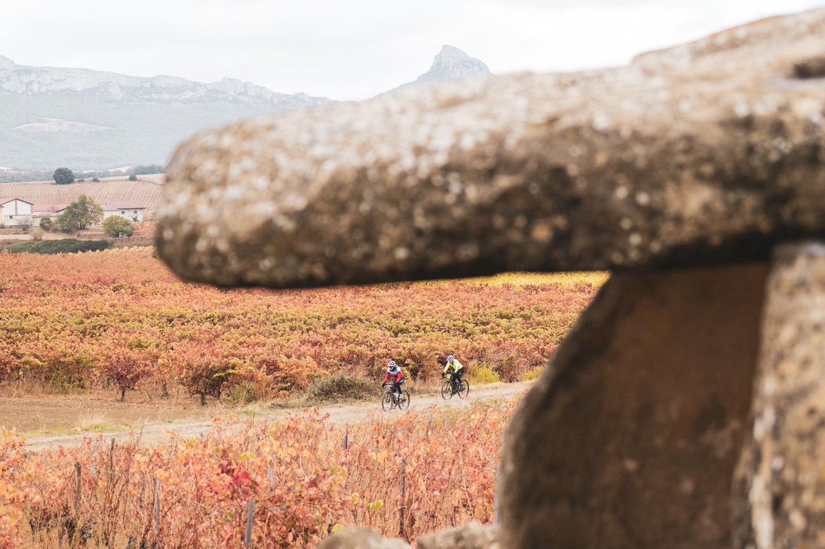 Más de 1500 ciclistas disfrutan de la Orbea Gravel Rioja Alavesa 2025 entre viñedos, vino y aventura: esmtb.com/mas-de-1500-ci…