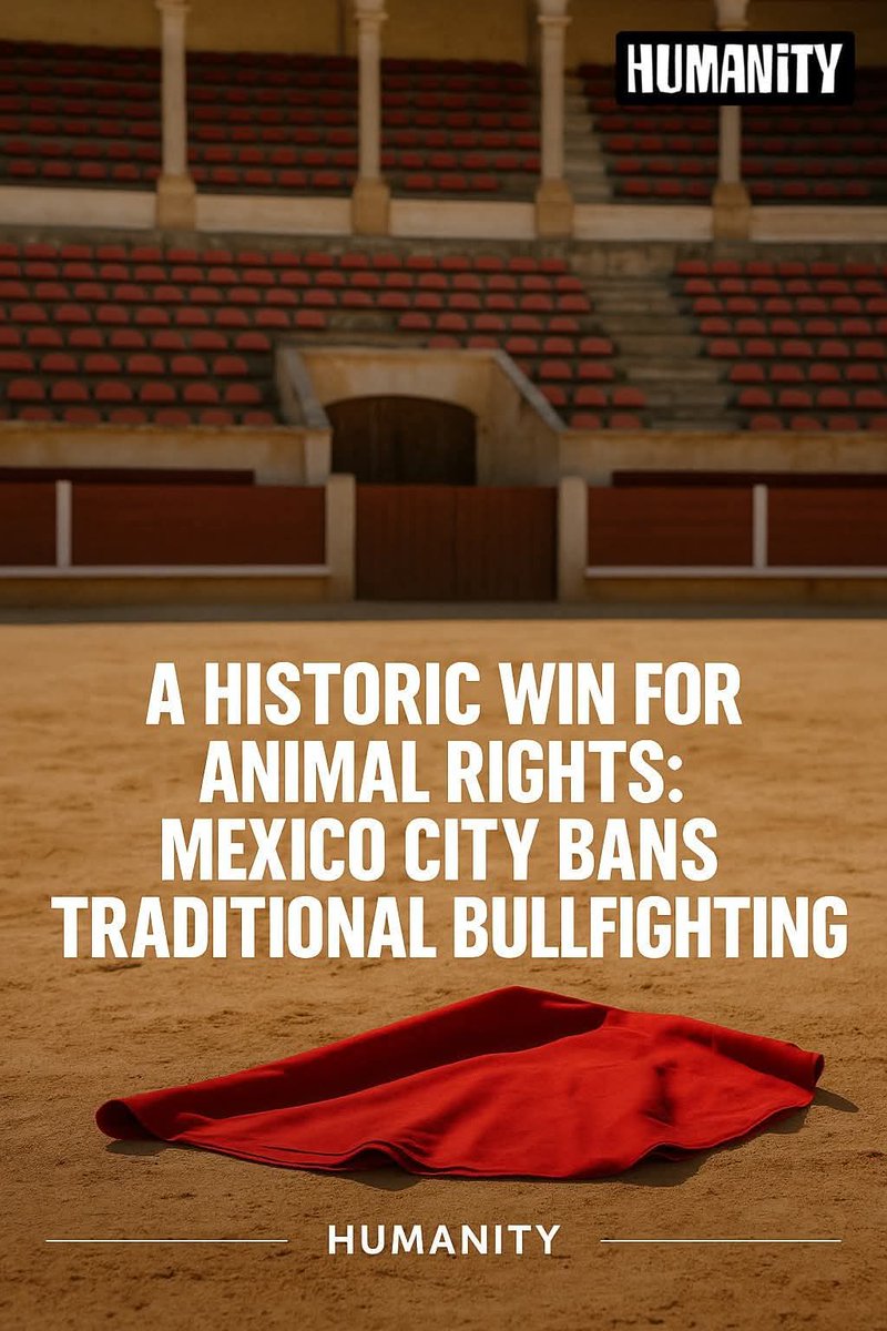 Dervilla(v) (@derviemoo) on Twitter photo 