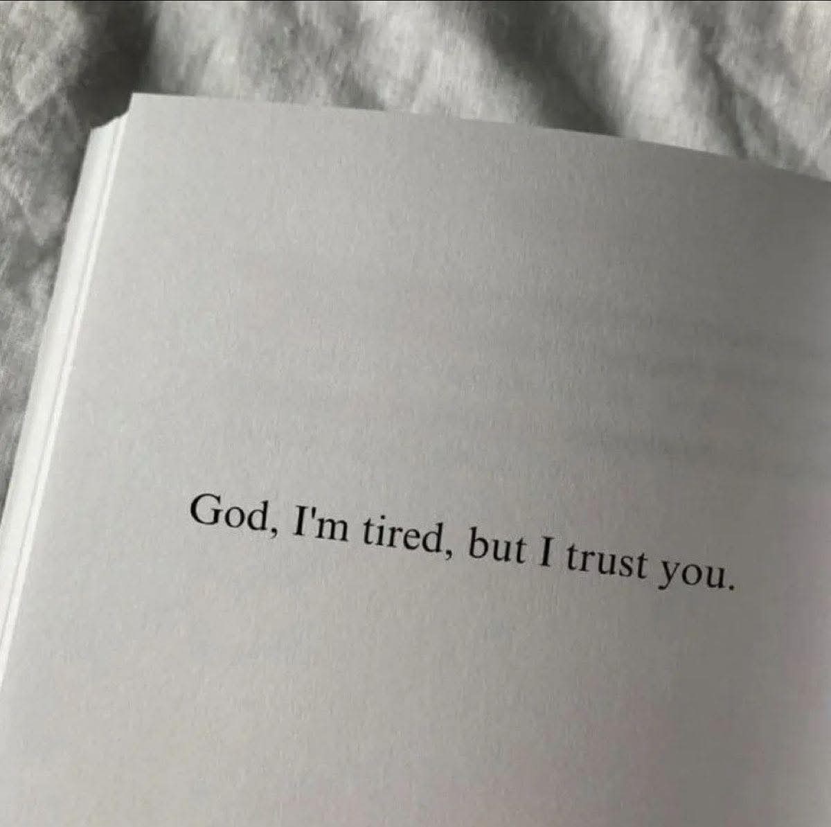 Dear Mind. tweet media