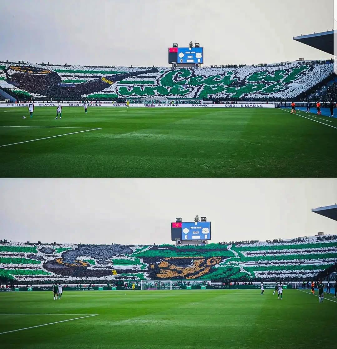 AQUILA🦅🇵🇸𓂆 tweet media