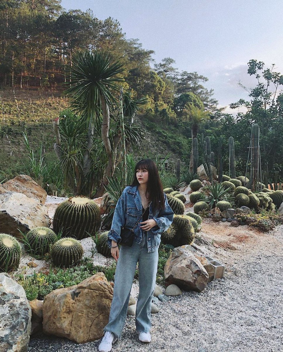 Isaac Nelson tweet media