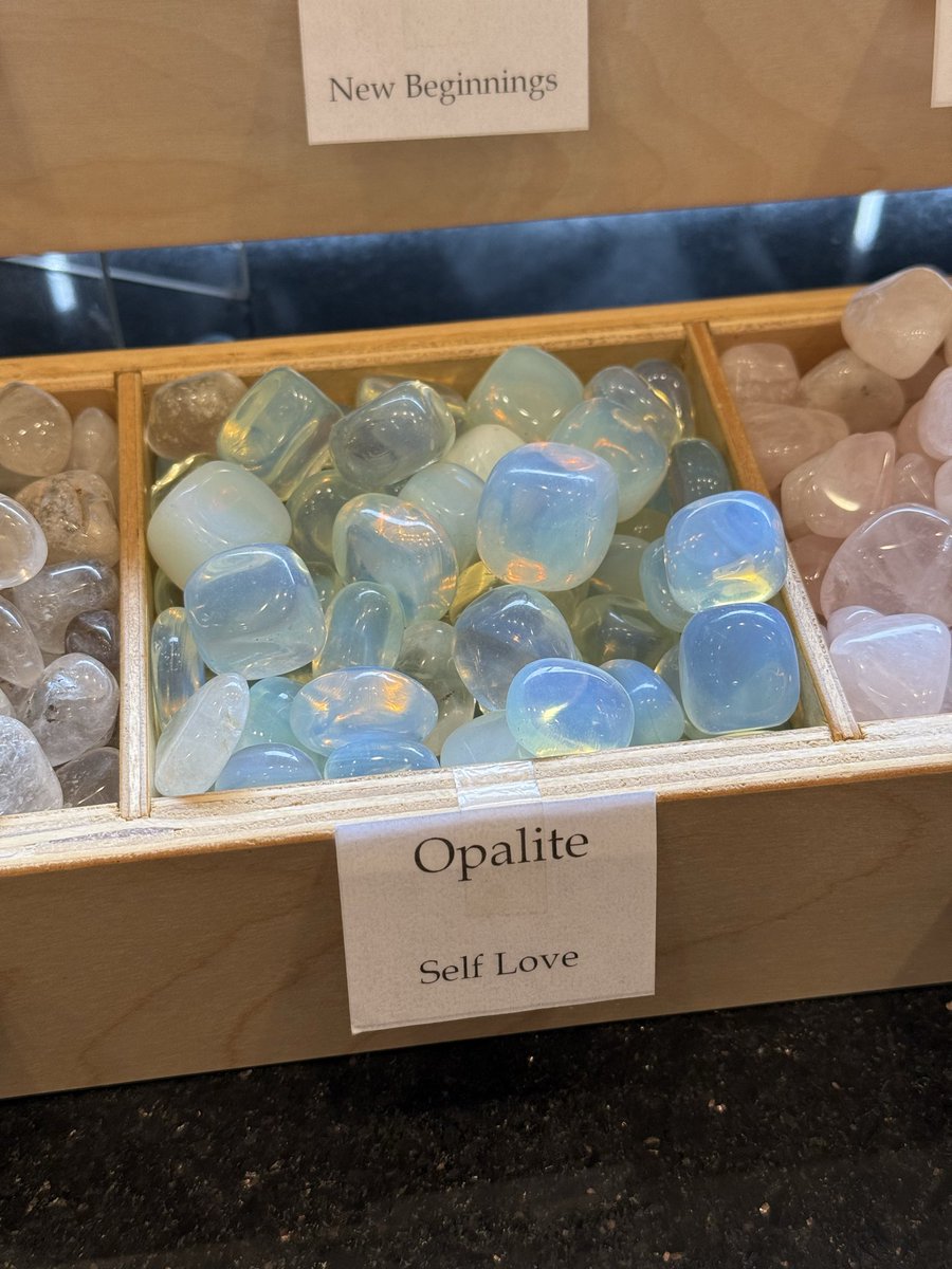 mnemo_nick's tweet image. I love when businesses are booming because of Taylor Swift